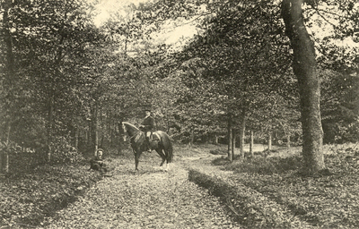 9639 Gezicht op het Spreeuwenlaantje met een ruiter in de Kaapse Bossen bij Doorn.